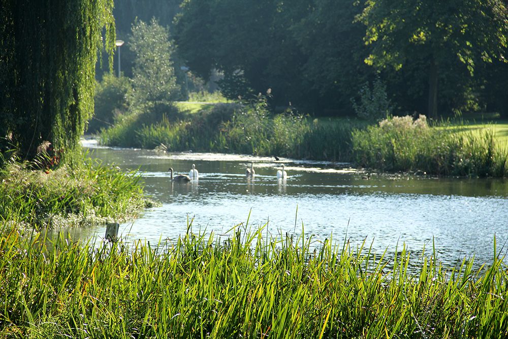 3. Park Nieuwling